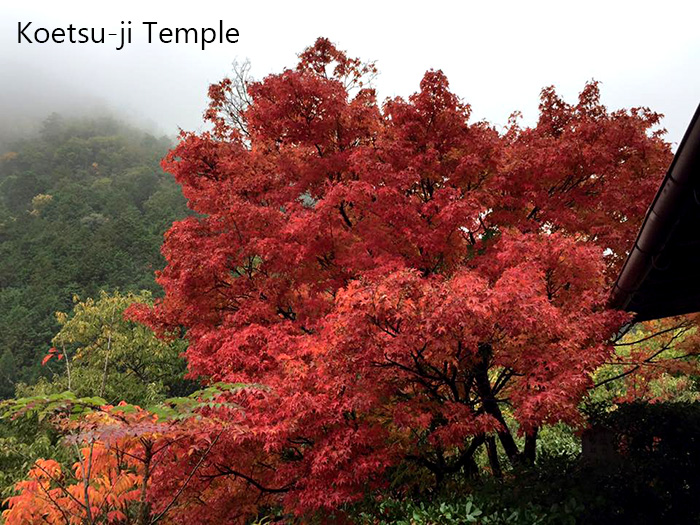 Koetsu-ji-Temple