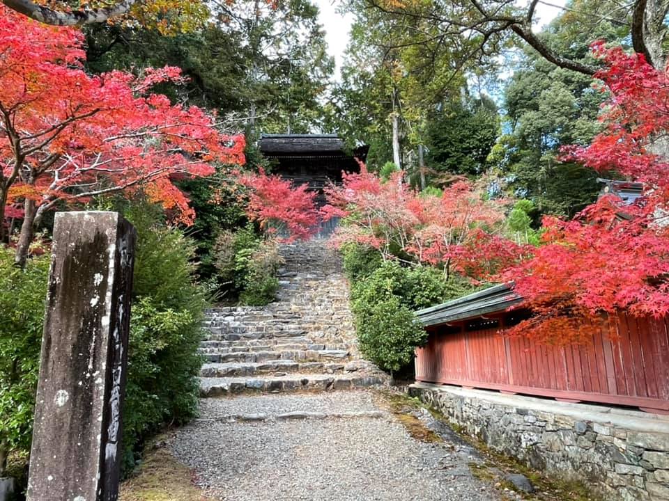 京都　観光ガイド