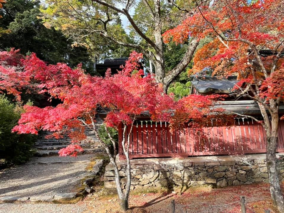 京都　観光ガイド