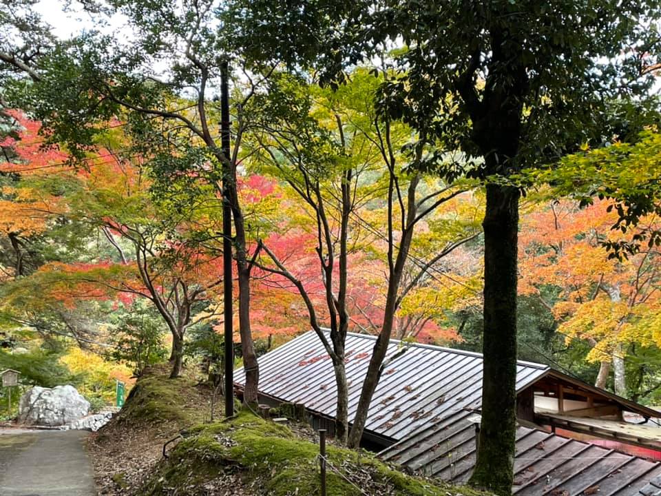 京都観光ガイド